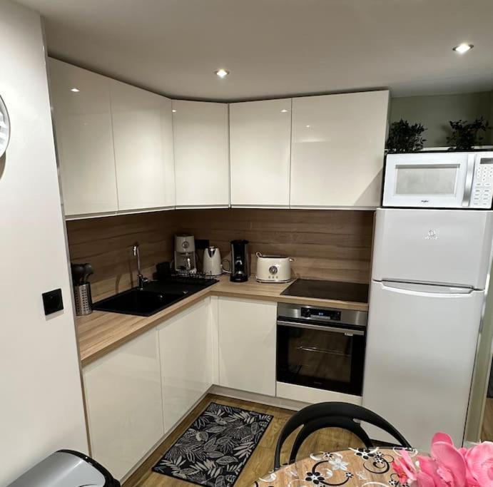 Le Briand Appartement 4Etoiles Nancy Thermal Cosy Avec Terrasse Wifi 외부 사진