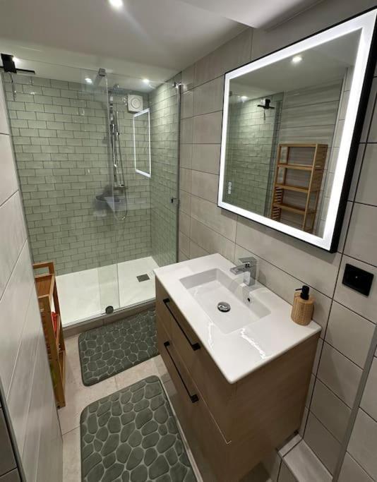 Le Briand Appartement 4Etoiles Nancy Thermal Cosy Avec Terrasse Wifi 외부 사진
