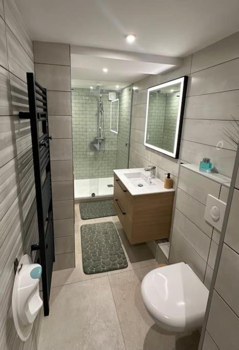 Le Briand Appartement 4Etoiles Nancy Thermal Cosy Avec Terrasse Wifi 외부 사진